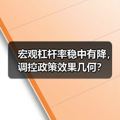 宏观杠杆率稳中有降,调控政策效果几何?(图2) 宏观杠杆率稳中有降,调控政策效果几何?(图2)