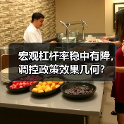宏观杠杆率稳中有降,调控政策效果几何?(图3) 宏观杠杆率稳中有降,调控政策效果几何?(图3)