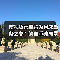 虚拟货币监管为何成当务之急?鱿鱼币骗局暴露高风险(图3) 虚拟货币监管为何成当务之急?鱿鱼币骗局暴露高风险(图3)