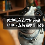 跨境电商支付新突破：MIR卡支持俄罗斯市场（图3）