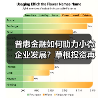 普惠金融如何助力小微企业发展？草根投资再获践行机构奖项（图2）