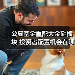 公募基金重配大金融板块 投资者配置机会在哪？（图3）