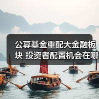 公募基金重配大金融板块 投资者配置机会在哪？（图4）