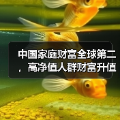 中国家庭财富全球第二,高净值人群财富升值如何实现?(图3) 中国家庭财富全球第二,高净值人群财富升值如何实现?(图3)