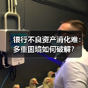 银行不良资产消化难:多重困境如何破解?(图1) 银行不良资产消化难:多重困境如何破解?(图1)