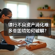银行不良资产消化难:多重困境如何破解?(图4) 银行不良资产消化难:多重困境如何破解?(图4)