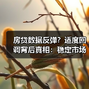 房贷数据反弹？适度回调背后真相：稳定市场预期（图2）