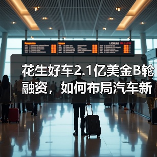 花生好车2.1亿美金B轮融资,如何布局汽车新零售生态?(图3) 花生好车2.1亿美金B轮融资,如何布局汽车新零售生态?(图3)