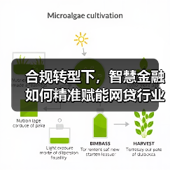 合规转型下,智慧金融如何精准赋能网贷行业?(图2) 合规转型下,智慧金融如何精准赋能网贷行业?(图2)