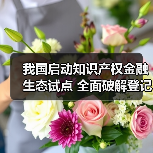 我国启动知识产权金融生态试点 全面破解登记评估难题(图1) 我国启动知识产权金融生态试点 全面破解登记评估难题(图1)