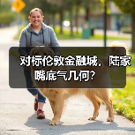 对标伦敦金融城,陆家嘴底气几何?(图4) 对标伦敦金融城,陆家嘴底气几何?(图4)