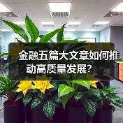 金融五篇大文章如何推动高质量发展?(图2) 金融五篇大文章如何推动高质量发展?(图2)