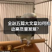 金融五篇大文章如何推动高质量发展?(图1) 金融五篇大文章如何推动高质量发展?(图1)