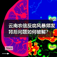 云南农信反腐风暴频发 背后问题如何破解?(图1) 云南农信反腐风暴频发 背后问题如何破解?(图1)