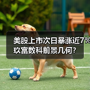 美股上市次日暴涨近7% 玖富数科前景几何?(图4) 美股上市次日暴涨近7% 玖富数科前景几何?(图4)