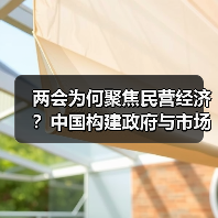 两会为何聚焦民营经济?中国构建政府与市场新型共生关系(图1) 两会为何聚焦民营经济?中国构建政府与市场新型共生关系(图1)