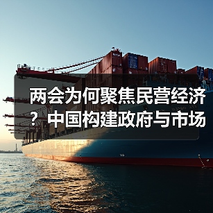 两会为何聚焦民营经济?中国构建政府与市场新型共生关系(图2) 两会为何聚焦民营经济?中国构建政府与市场新型共生关系(图2)