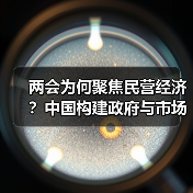 两会为何聚焦民营经济?中国构建政府与市场新型共生关系(图3) 两会为何聚焦民营经济?中国构建政府与市场新型共生关系(图3)