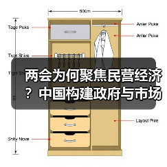 两会为何聚焦民营经济?中国构建政府与市场新型共生关系(图4) 两会为何聚焦民营经济?中国构建政府与市场新型共生关系(图4)
