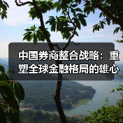 中国券商整合战略:重塑全球金融格局的雄心布局(图3) 中国券商整合战略:重塑全球金融格局的雄心布局(图3)