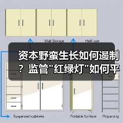 资本野蛮生长如何遏制?监管 资本野蛮生长如何遏制?监管
