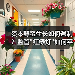 资本野蛮生长如何遏制?监管 资本野蛮生长如何遏制?监管