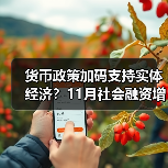 货币政策加码支持实体经济?11月社会融资增长解析(图3) 货币政策加码支持实体经济?11月社会融资增长解析(图3)