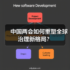 中国两会如何重塑全球治理新格局?(图3) 中国两会如何重塑全球治理新格局?(图3)