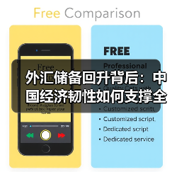 外汇储备回升背后：中国经济韧性如何支撑全球稳定？