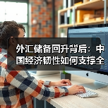 外汇储备回升背后：中国经济韧性如何支撑全球稳定？（图3）