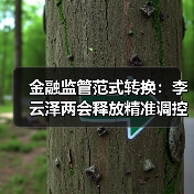 金融监管范式转换:李云泽两会释放精准调控信号(图2) 金融监管范式转换:李云泽两会释放精准调控信号(图2)