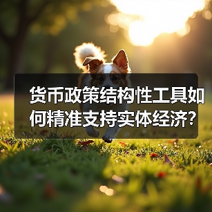 货币政策结构性工具如何精准支持实体经济？（图2）