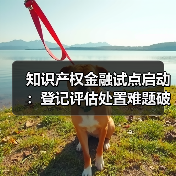 知识产权金融试点启动:登记评估处置难题破解新举措(图4) 知识产权金融试点启动:登记评估处置难题破解新举措(图4)