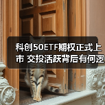 科创50ETF期权正式上市 交投活跃背后有何逻辑?(图1) 科创50ETF期权正式上市 交投活跃背后有何逻辑?(图1)