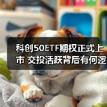 科创50ETF期权正式上市 交投活跃背后有何逻辑?(图2) 科创50ETF期权正式上市 交投活跃背后有何逻辑?(图2)