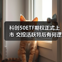 科创50ETF期权正式上市 交投活跃背后有何逻辑?(图3) 科创50ETF期权正式上市 交投活跃背后有何逻辑?(图3)