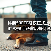 科创50ETF期权正式上市 交投活跃背后有何逻辑?(图4) 科创50ETF期权正式上市 交投活跃背后有何逻辑?(图4)