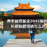 养老目标基金2045策略:长期稳健增值怎么选?(图4) 养老目标基金2045策略:长期稳健增值怎么选?(图4)