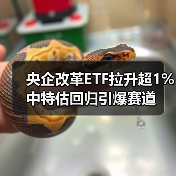 央企改革ETF拉升超1% 中特估回归引爆赛道(图4) 央企改革ETF拉升超1% 中特估回归引爆赛道(图4)