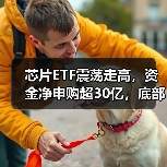 芯片ETF震荡走高,资金净申购超30亿,底部布局正当时?(图4) 芯片ETF震荡走高,资金净申购超30亿,底部布局正当时?(图4)