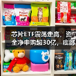 芯片ETF震荡走高,资金净申购超30亿,底部布局正当时?(图3) 芯片ETF震荡走高,资金净申购超30亿,底部布局正当时?(图3)