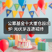 公募基金十大重仓股出炉 光伏茅连遭减持(图2) 公募基金十大重仓股出炉 光伏茅连遭减持(图2)