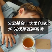 公募基金十大重仓股出炉 光伏茅连遭减持(图4) 公募基金十大重仓股出炉 光伏茅连遭减持(图4)