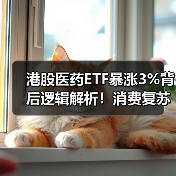 港股医药ETF暴涨3%背后逻辑解析!消费复苏如何影响行情?(图3) 港股医药ETF暴涨3%背后逻辑解析!消费复苏如何影响行情?(图3)