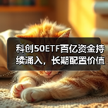 科创50ETF百亿资金持续涌入,长期配置价值几何?(图3) 科创50ETF百亿资金持续涌入,长期配置价值几何?(图3)