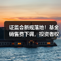 证监会新规落地！基金销售费下调，投资者权益如何保障？（图3）
