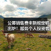 公募销售费率新规定稿出炉!服务个人投资者,大力发展权益投资(图4) 公募销售费率新规定稿出炉!服务个人投资者,大力发展权益投资(图4)