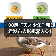 90后“天才少年”稚晖君发布人形机器人Q1 折叠后能塞进书包(图2) 90后“天才少年”稚晖君发布人形机器人Q1 折叠后能塞进书包(图2)
