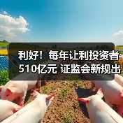 利好!每年让利投资者510亿元 证监会新规出炉(图2) 利好!每年让利投资者510亿元 证监会新规出炉(图2)