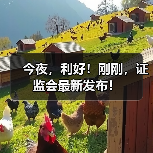 今夜，利好！刚刚，证监会最新发布！（图3）